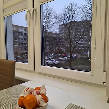 Debrecen 55